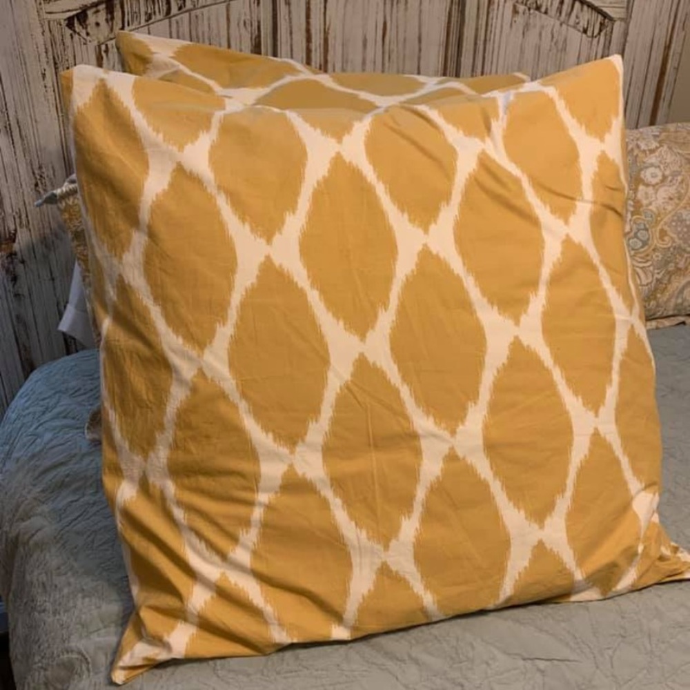 West Elm Shams